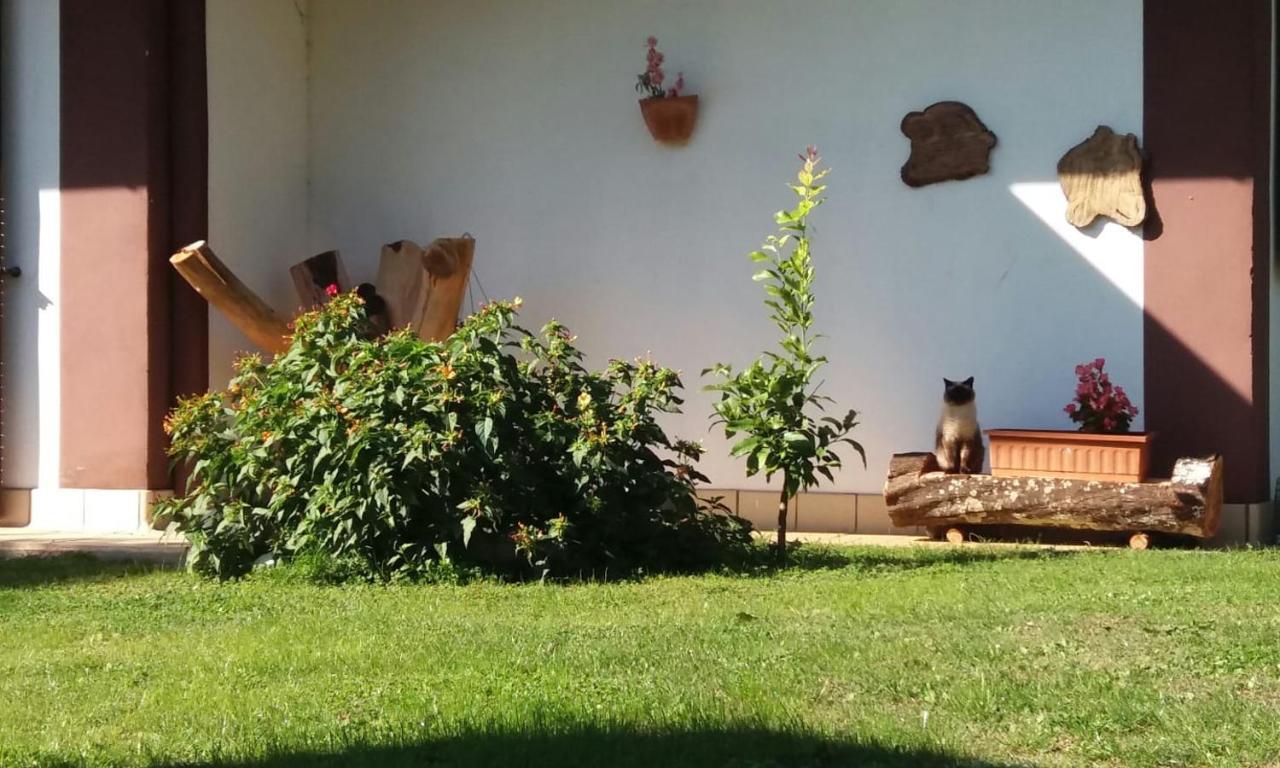 Casetta In Collina Sezze Buitenkant foto