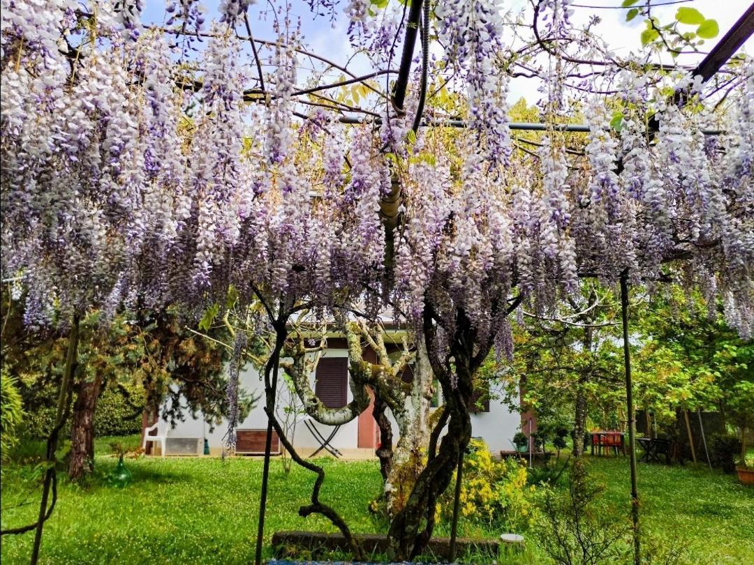 Casetta In Collina Sezze Buitenkant foto